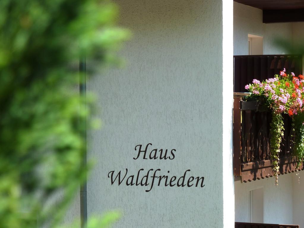 Pension Haus Waldfrieden, Meinecardplus Inklusive Виллинген Экстерьер фото